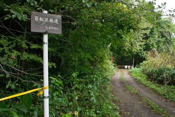 百松沢林道入口